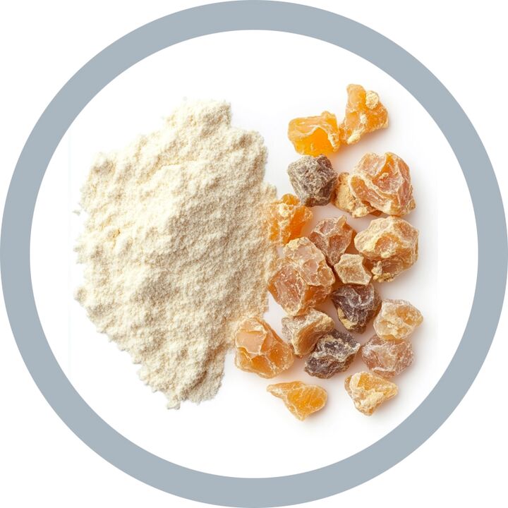 Boswellia (Frankincense) erretxina extract