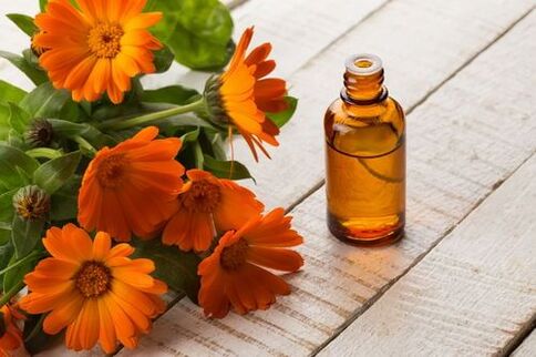 Calendula tintura osteokondrosiaren tratamendurako erremedio sinplea da
